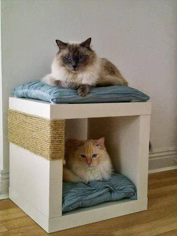 Best ideas about Cat Beds DIY
. Save or Pin 10 DIY Cat Bed Ideas Now.