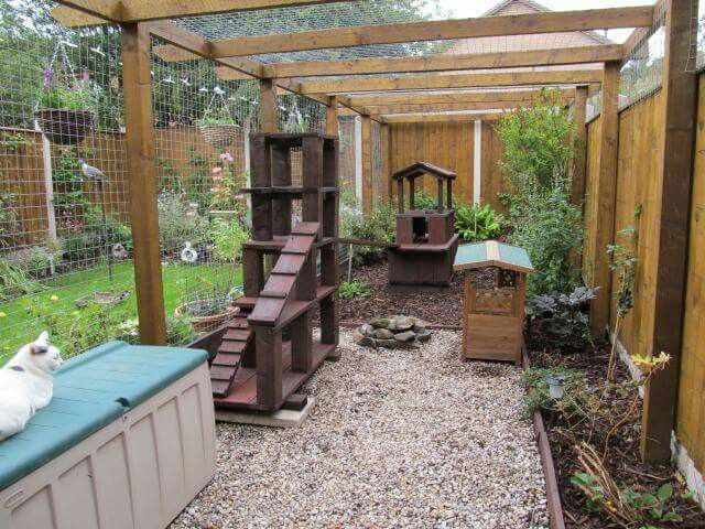 Best ideas about Cat Outdoor Enclosure
. Save or Pin 193 best images about DIY Cat Enclosures on Pinterest Now.