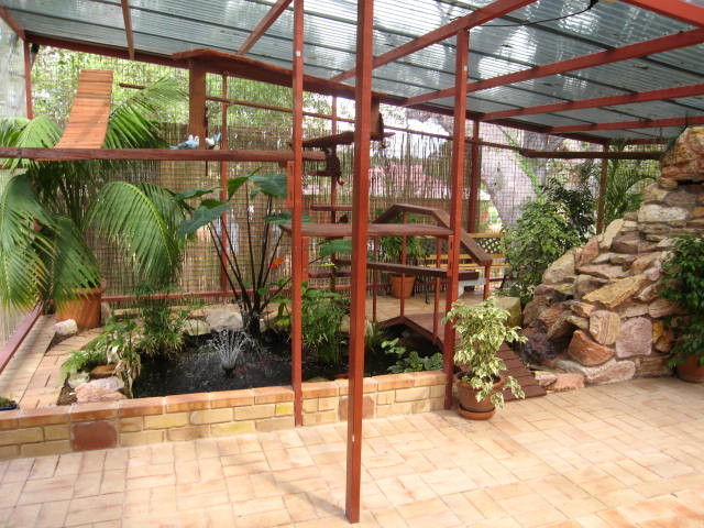 Best ideas about Cat Outdoor Enclosure
. Save or Pin Outdoor Cat Enclosures Getting Cats Outside Safely Now.