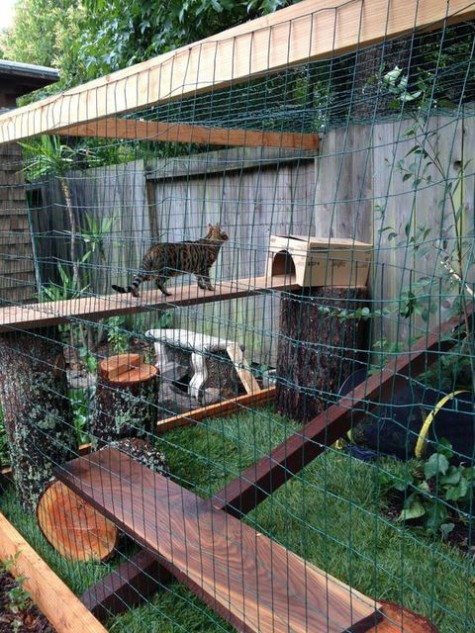 Best ideas about Cat Outdoor Enclosure
. Save or Pin 51 Outdoor Cat Enclosures Your Cat Now.
