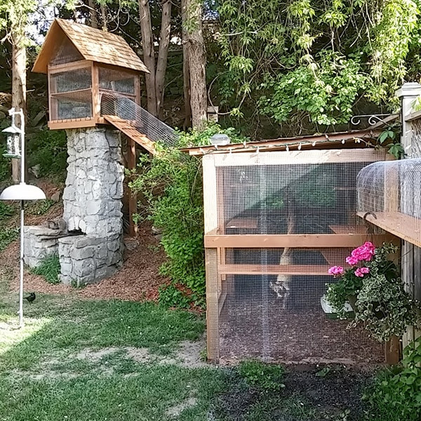Best ideas about Cat Outdoor Enclosure
. Save or Pin Easy DIY Cat Enclosure to keep your indoor cats happy and safe Now.