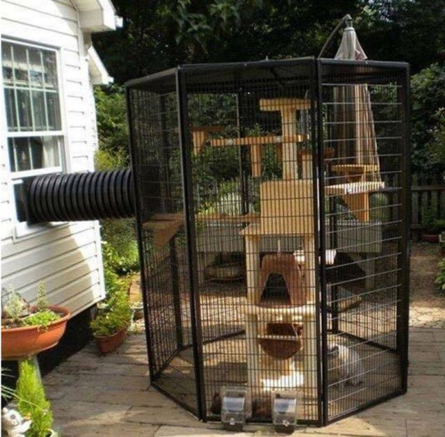 Best ideas about Cat Outdoor Enclosure
. Save or Pin Home Design Garden & Architecture Blog Magazine Now.