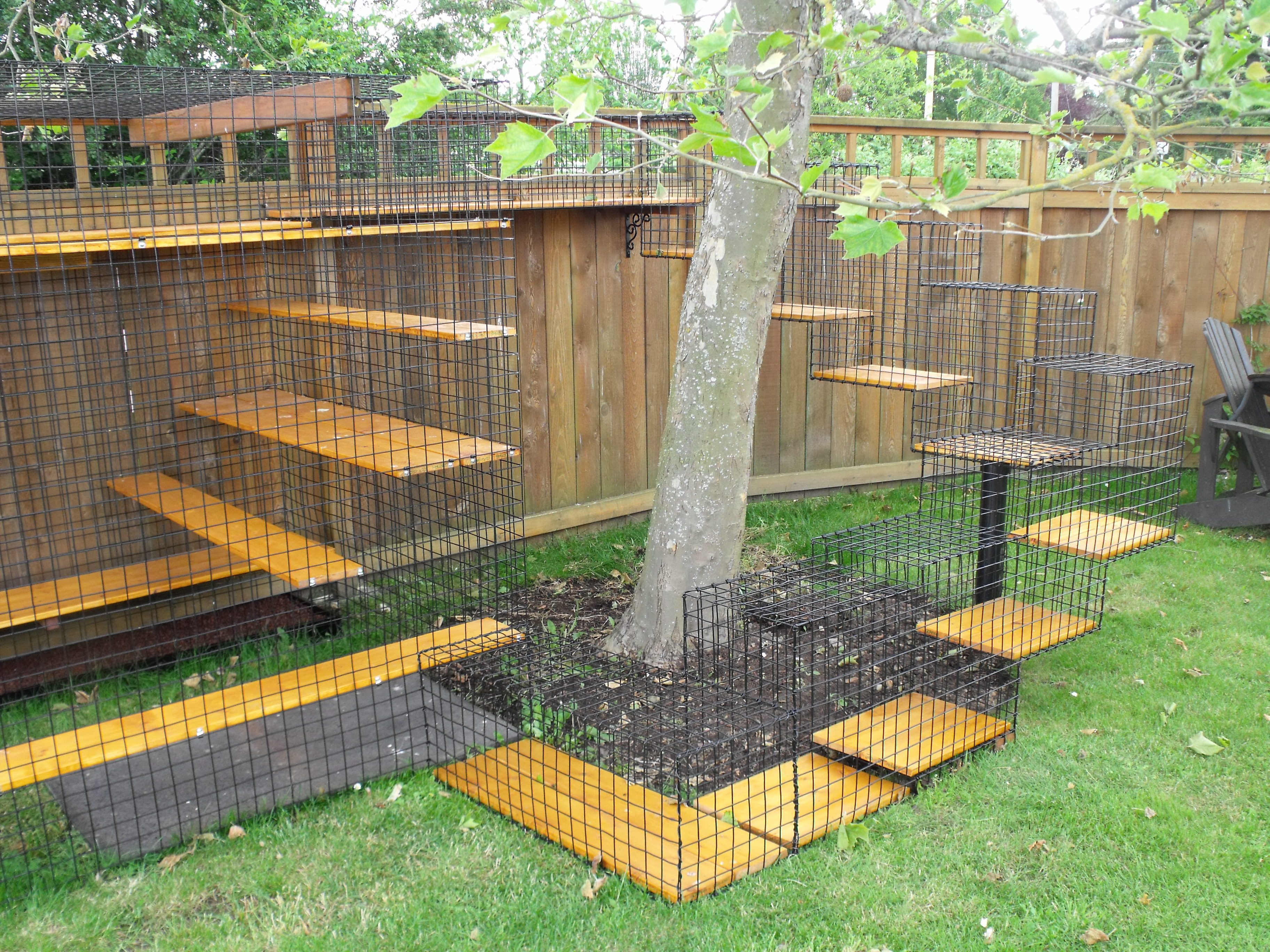 Best ideas about Cat Outdoor Enclosure
. Save or Pin The Cat Bird Conflict ABA Blog Now.