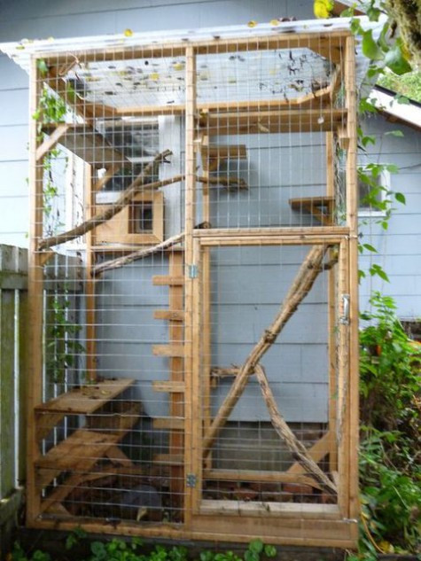 Best ideas about Cat Outdoor Enclosure
. Save or Pin 51 Outdoor Cat Enclosures Your Cat Now.