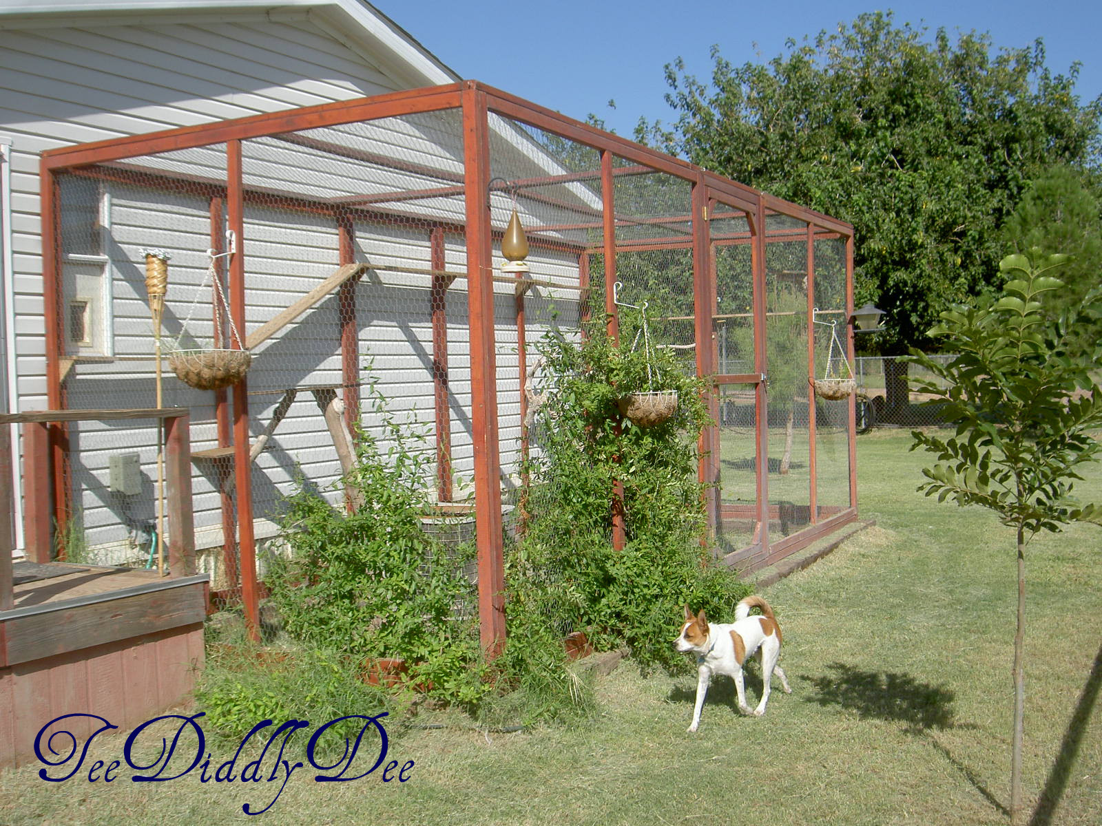 Best ideas about Cat Outdoor Enclosure
. Save or Pin How To build an outdoor cat enclosure or catio Now.