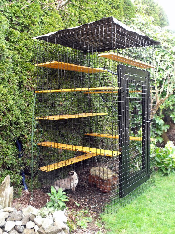 Best ideas about Cat Outdoor Enclosure
. Save or Pin 17 Best images about cat run on Pinterest Now.