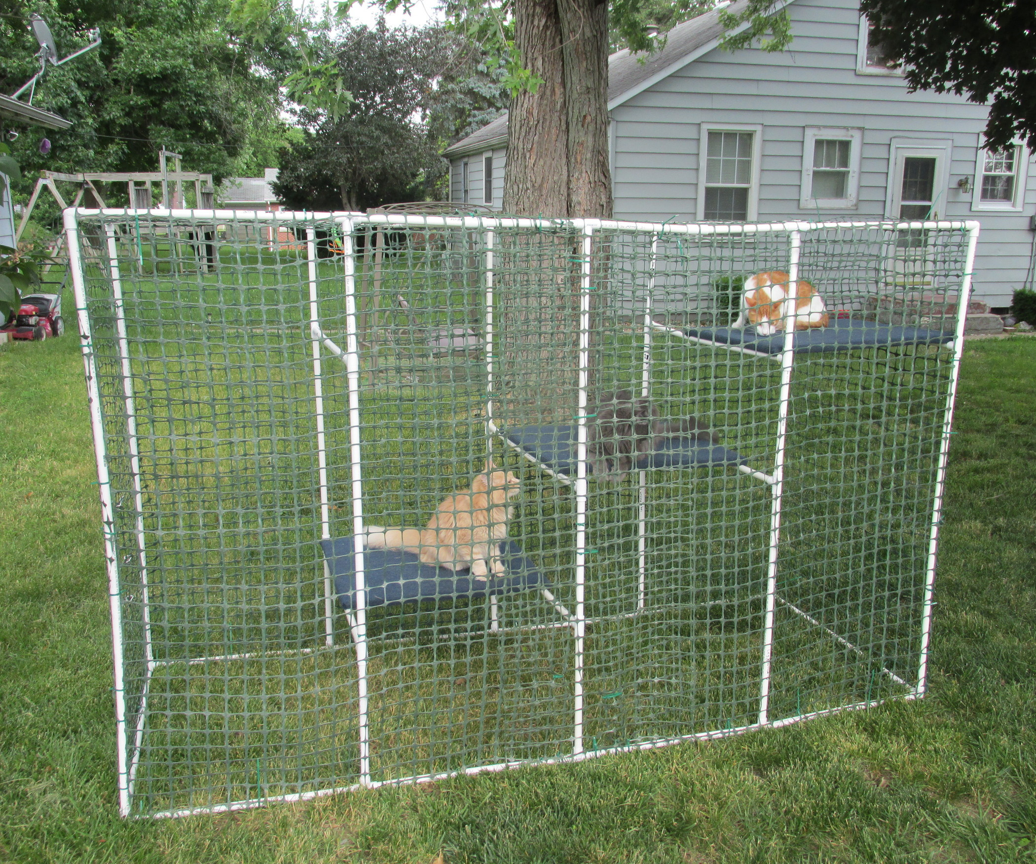 Best ideas about Cat Outdoor Enclosure
. Save or Pin Cat Enclosure Now.