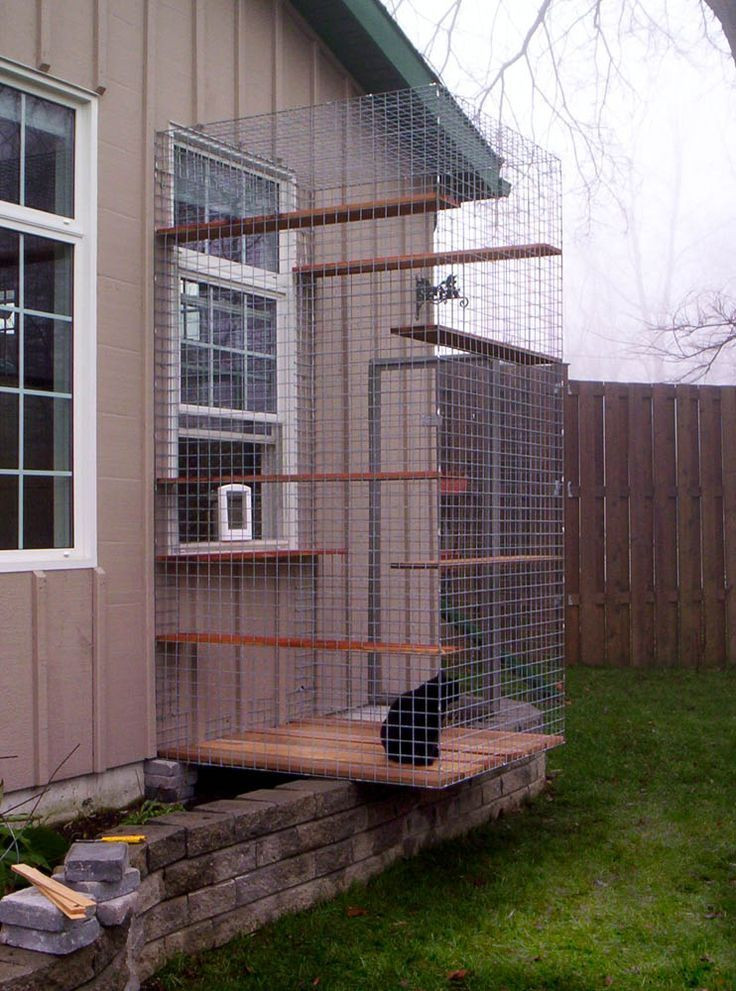 Best ideas about Cat Outdoor Enclosure
. Save or Pin For the cattery someday Each kitty condo has an attached Now.