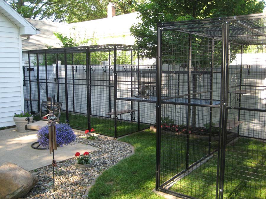 Best ideas about Cat Outdoor Enclosure
. Save or Pin Is Your Cat Missing Her Litter Box Now.
