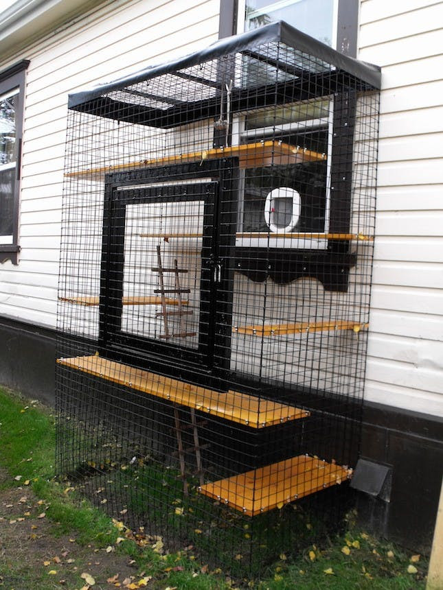 Best ideas about Cat Outdoor Enclosure
. Save or Pin 13 Cool Catios for Your Feline Friend Now.