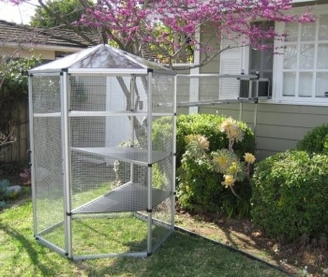 Best ideas about Cat Outdoor Enclosure
. Save or Pin How to Buy an Outdoor Cat Enclosure Cheap Now.