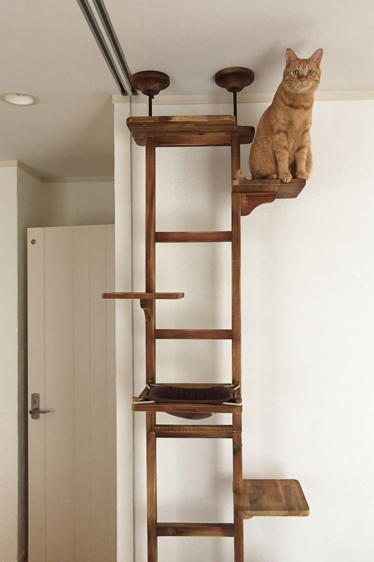 Best ideas about Cat Tree DIY Plans
. Save or Pin Best 25 cat tree ideas on Pinterest Now.