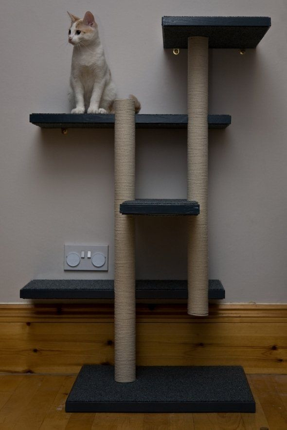 Best ideas about Cat Tree DIY Plans
. Save or Pin Homemade Cat Trees on Pinterest Now.