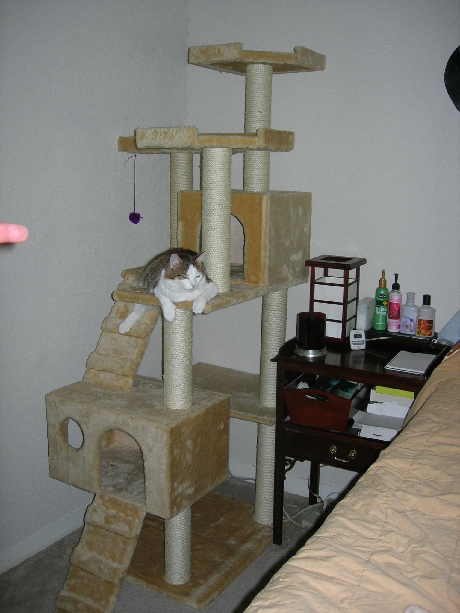 Best ideas about Cat Tree DIY Plans
. Save or Pin Cat tree Now.
