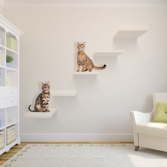 Best ideas about Cat Wall Shelves DIY
. Save or Pin Best 25 Cat wall shelves ideas on Pinterest Now.
