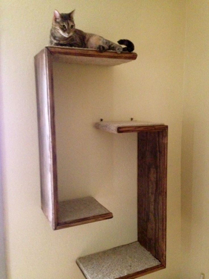 Best ideas about Cat Wall Shelves DIY
. Save or Pin Best 25 Cat wall shelves ideas on Pinterest Now.