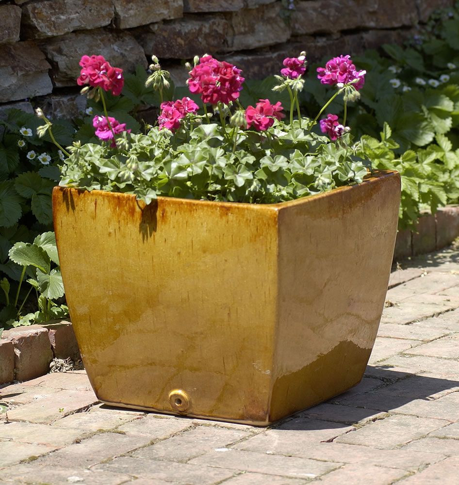 Best ideas about Ceramic Outdoor Planters
. Save or Pin Armeria Square Planter Set of 2 in Amber Now.