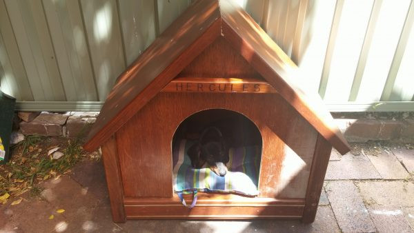 Best ideas about Cheap DIY Dog House
. Save or Pin 36 Free DIY Dog House Plans & Ideas for Your Furry Friend Now.