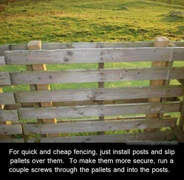 Best ideas about Cheap DIY Fence
. Save or Pin Cheap and easy pallet fence Helpful Ideas Now.