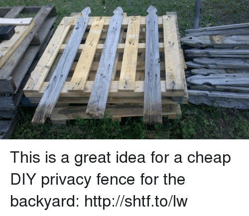 Best ideas about Cheap DIY Fence
. Save or Pin This Is a Great Idea for a Cheap DIY Privacy Fence for the Now.