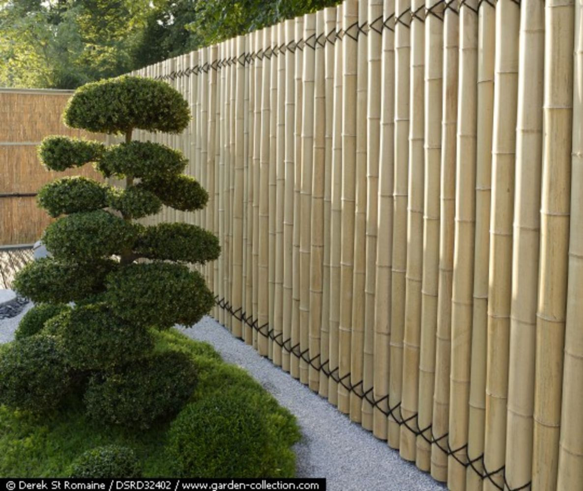 Best ideas about Cheap DIY Fence
. Save or Pin Cheap diy privacy fence ideas 34 Wartaku Now.