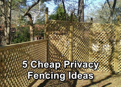 Best ideas about Cheap DIY Fence
. Save or Pin 5 Cheap Privacy Fencing Ideas SHTF Prepping Now.