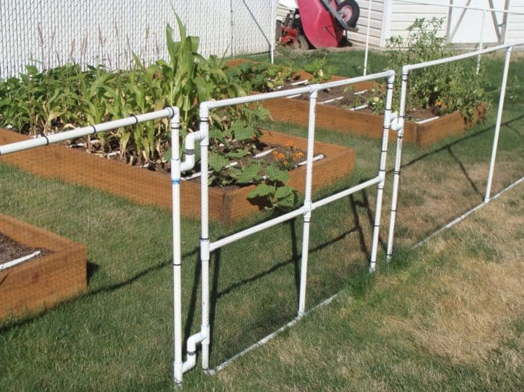 Best ideas about Cheap DIY Fence
. Save or Pin Inexpensive DIY Garden Fence Ideas MORFLORA Now.