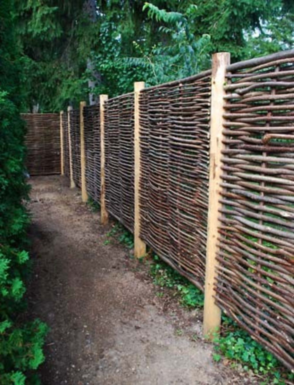 Best ideas about Cheap Fence DIY
. Save or Pin Cheap diy privacy fence ideas 52 Wartaku Now.