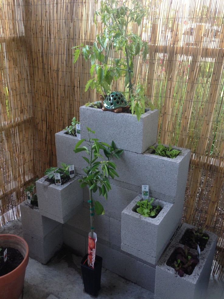 Best ideas about Cinder Block Garden Ideas
. Save or Pin Urban garden cinder block garden small space gardening Now.
