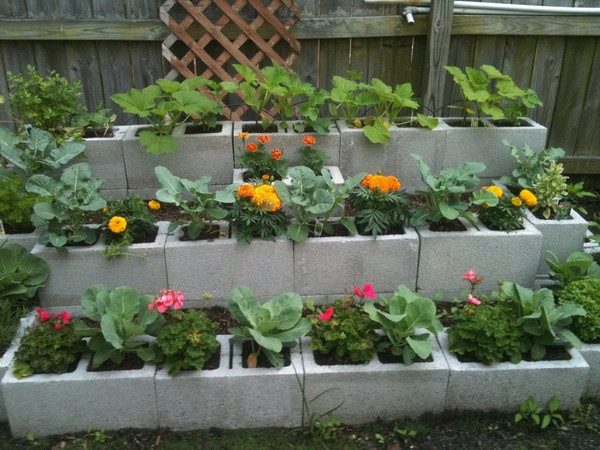 Best ideas about Cinder Block Garden Ideas
. Save or Pin Cinder block garden ideas – furniture planters walls and Now.