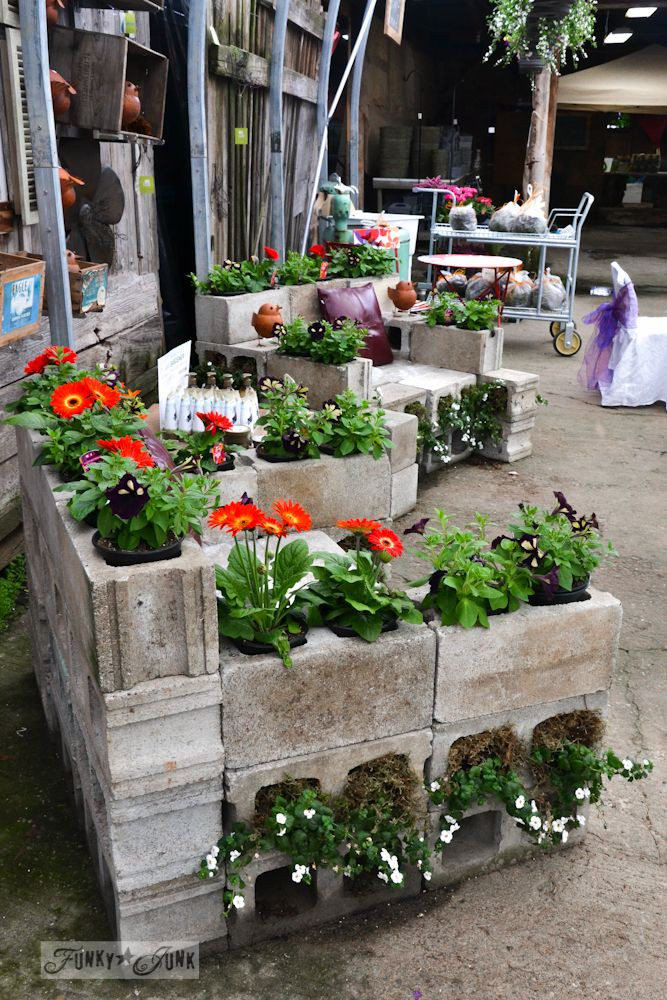 Best ideas about Cinder Block Garden Ideas
. Save or Pin 17 Best images about Cinder Block Garden Ideas on Now.