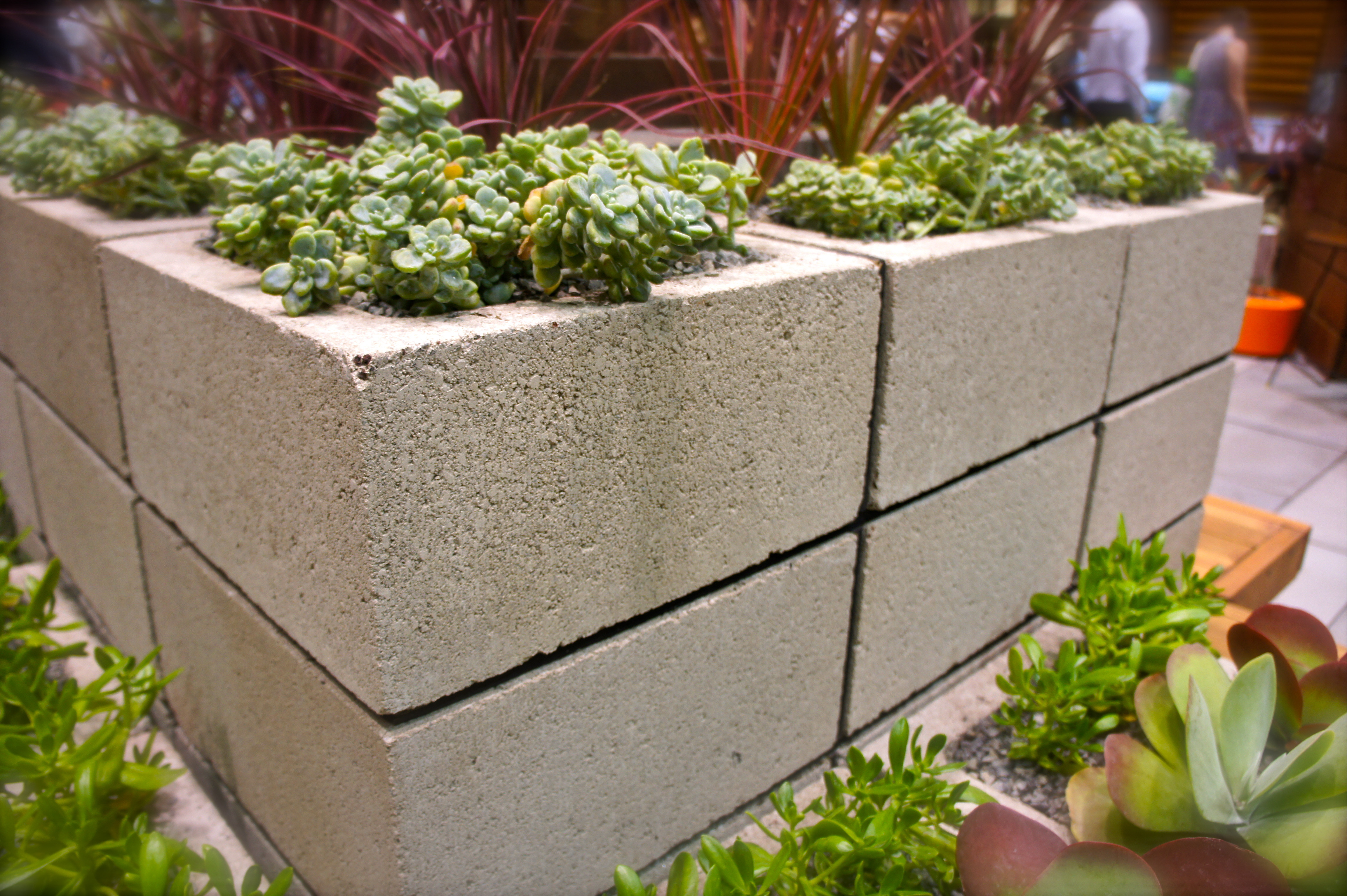Best ideas about Cinder Block Planter Box
. Save or Pin Ideas and Inspiration for a Modern Ve able Garden Now.