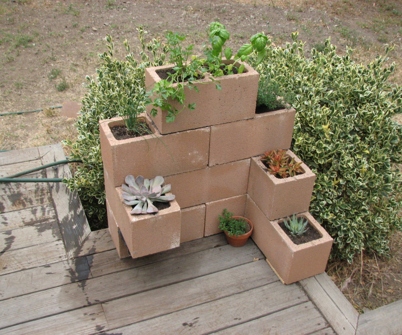 Best ideas about Cinder Block Planter Box
. Save or Pin Cinder Block Planter 3 Now.