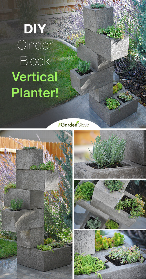 Best ideas about Cinder Block Planters
. Save or Pin Hometalk Now.