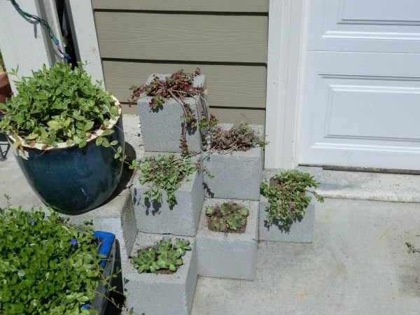 Best ideas about Cinder Block Planters
. Save or Pin Cinder Block Planters Now.