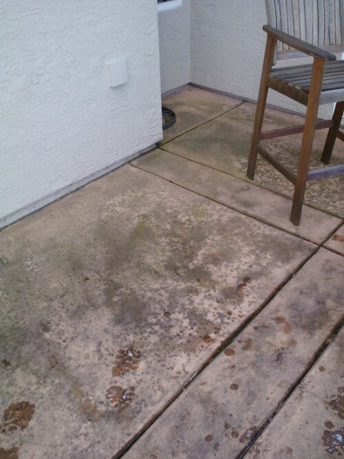 Best ideas about Cleaning Concrete Patio
. Save or Pin Concrete patio cleaning roseville Now.