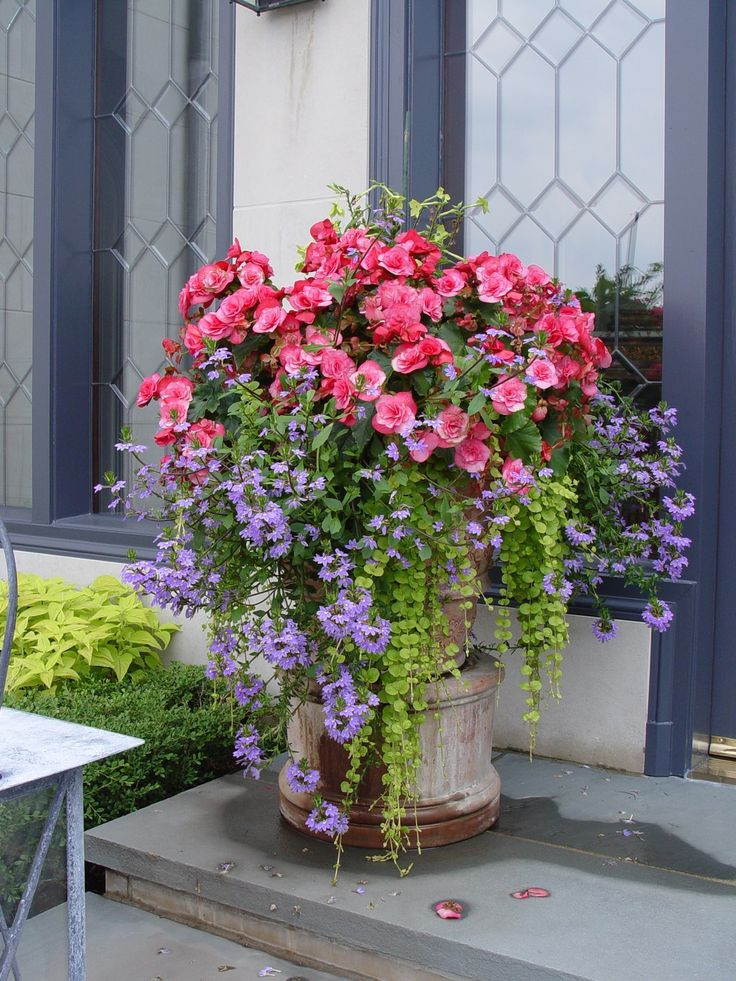 Best ideas about Container Flower Garden Ideas
. Save or Pin 579 best images about Gardening In Containers on Pinterest Now.