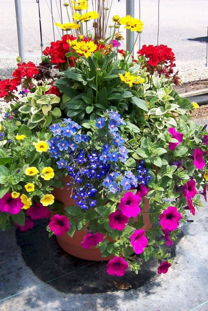Best ideas about Container Flower Garden Ideas
. Save or Pin Best Container Gardening Design Flowers Ideas 25 Now.