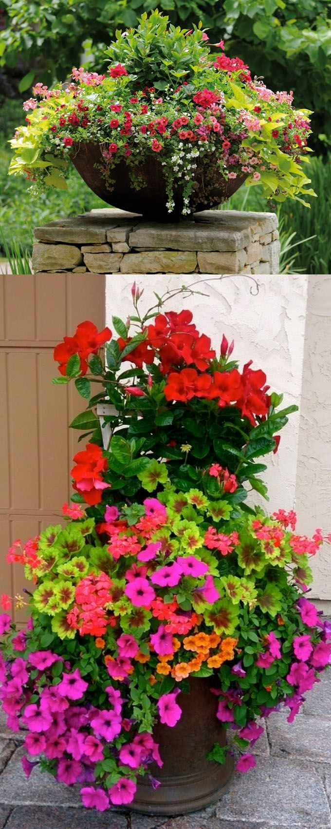 Best ideas about Container Flower Garden Ideas
. Save or Pin Best 25 Container gardening ideas on Pinterest Now.
