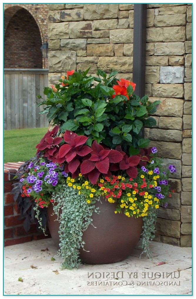 Best ideas about Container Flower Garden Ideas
. Save or Pin Container Flower Gardening Ideas 15 Now.