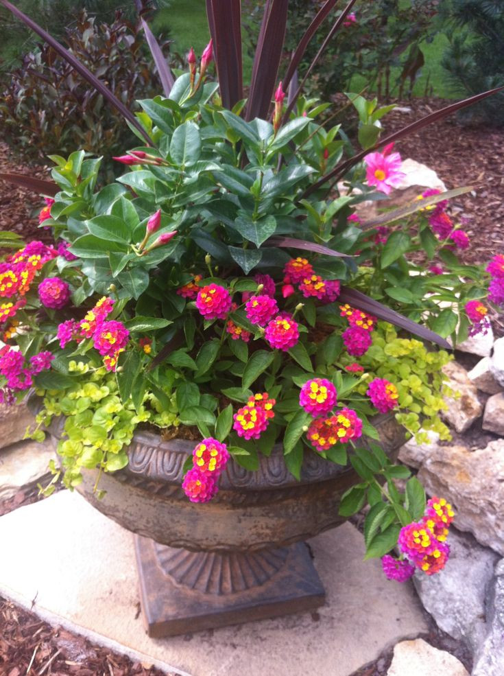 Best ideas about Container Flower Garden Ideas
. Save or Pin 359 best Outdoor Flower container Ideas images on Now.