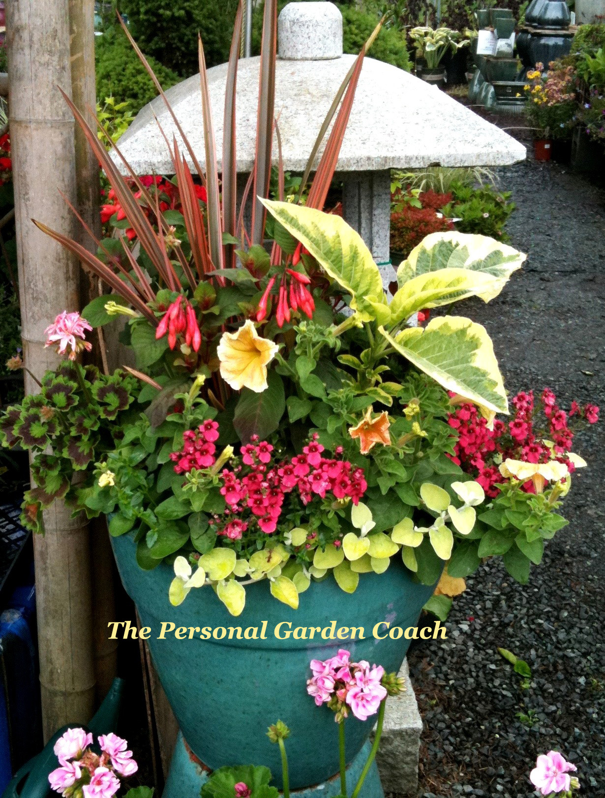 Best ideas about Container Flower Garden Ideas
. Save or Pin Brainstorming A Container Garden Design “Black & Tan Now.