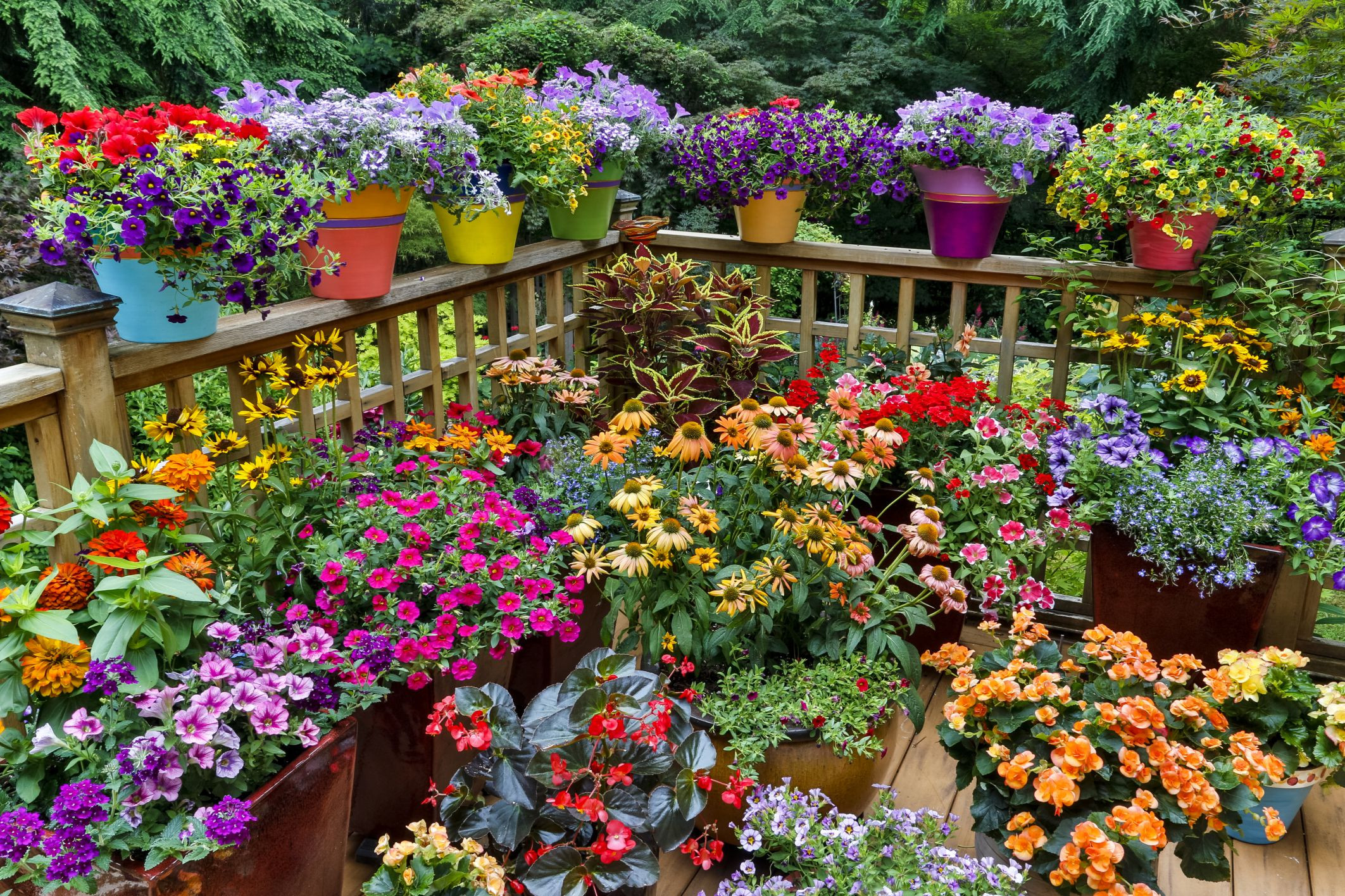 Best ideas about Container Flower Garden Ideas
. Save or Pin 12 Ideas for Flowering Container Gardens Now.