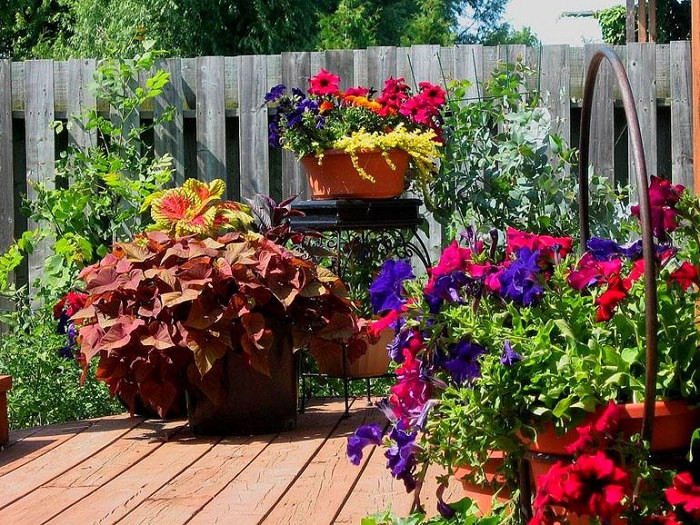 Best ideas about Container Flower Garden Ideas
. Save or Pin 11 Most Essential Container Garden Design Tips Now.