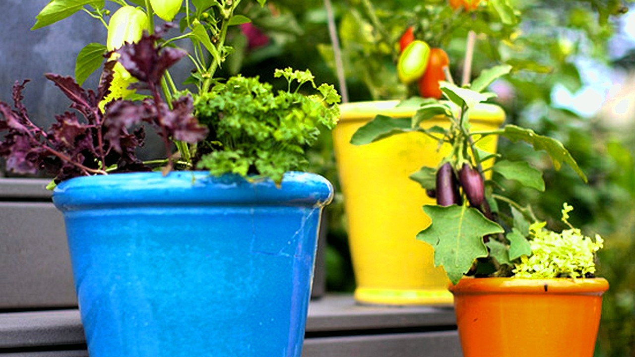 Best ideas about Container Vegetable Garden Ideas
. Save or Pin 12 Ideas for Growing Ve ables in Containers Gardening Now.