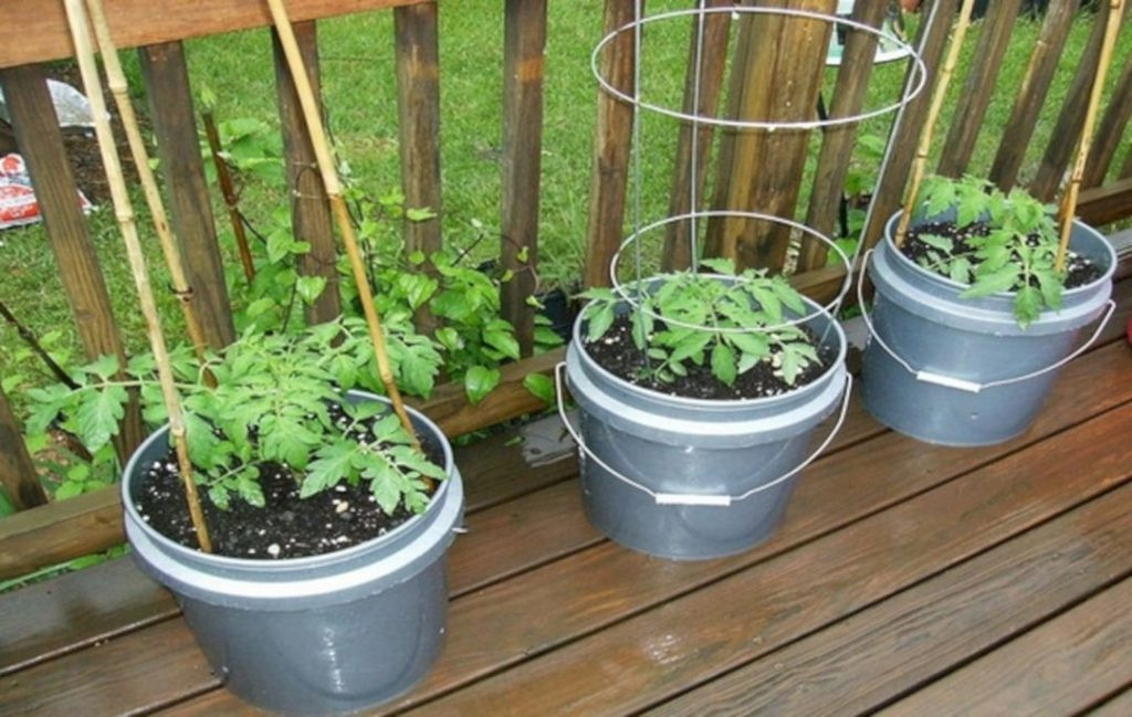 Best ideas about Container Vegetable Garden Ideas
. Save or Pin 24 Interesting Container Ve able Gardening Ideas for Now.