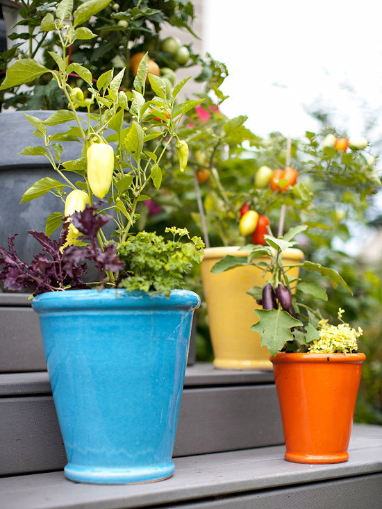 Best ideas about Container Vegetable Garden Ideas
. Save or Pin Fresh Ideas for Growing Ve ables in Containers Now.