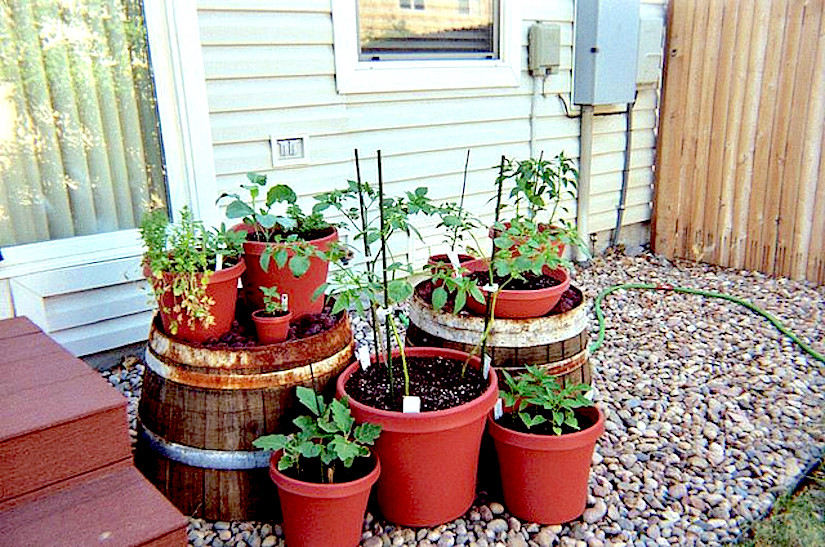 Best ideas about Container Vegetable Garden Ideas
. Save or Pin Yes we can be an urban gardener – CONTAINER GARDENING Now.