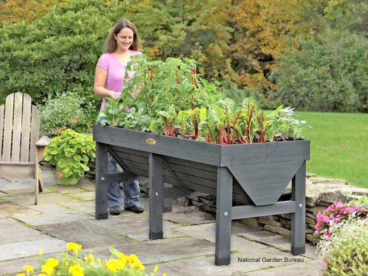 Best ideas about Container Vegetable Garden Ideas
. Save or Pin Container Gardening with Ve ables Now.