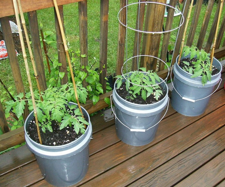 Best ideas about Container Vegetable Garden Ideas
. Save or Pin Decorative Balcony Ve able Garden Ideas Build Diy Now.